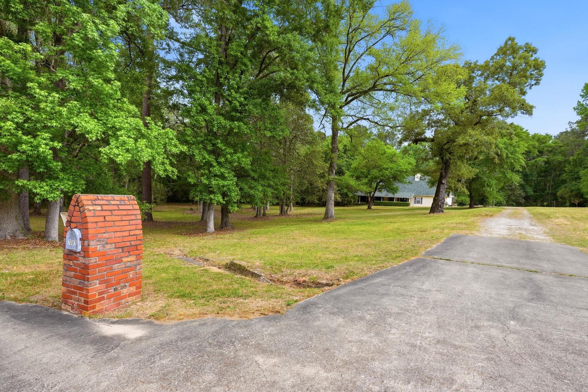 Property photo 62